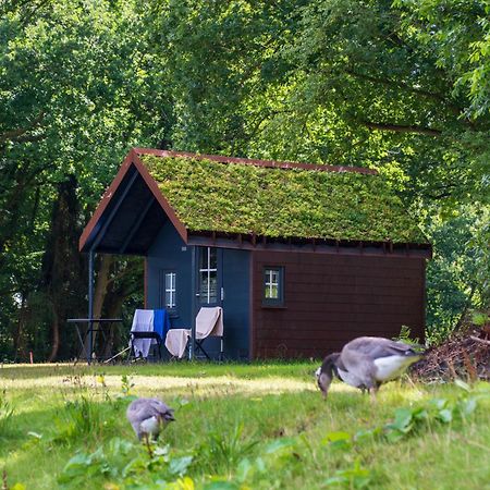Fehnkate Lejlighed Papenburg Eksteriør billede